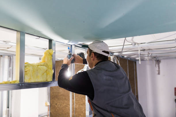 Best Cellulose Insulation in Obion, TN